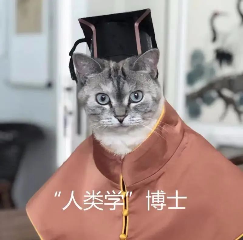 中央美院“學(xué)士服”美上熱搜！網(wǎng)友：這是什么神仙設(shè)計(jì)？