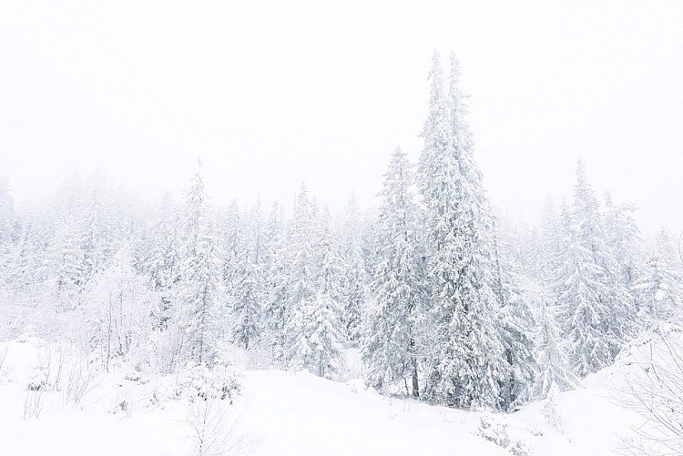 冬季雪景風(fēng)光拍攝五個小技巧