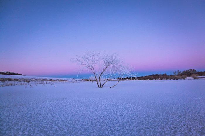 超實用的冬季雪景拍攝技巧