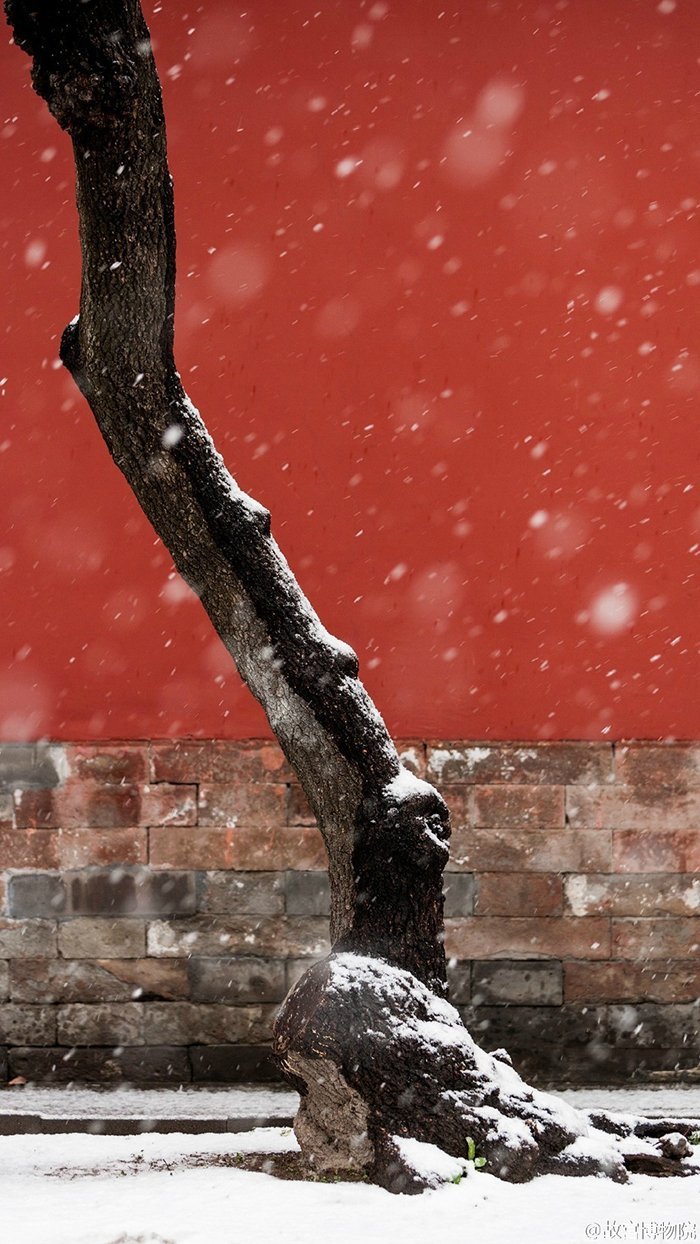 超實用的冬季雪景拍攝技巧