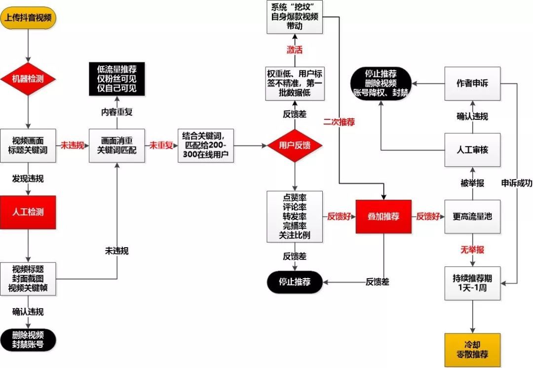 鳥哥筆記,新媒體運營,松露,冷啟動,短視頻