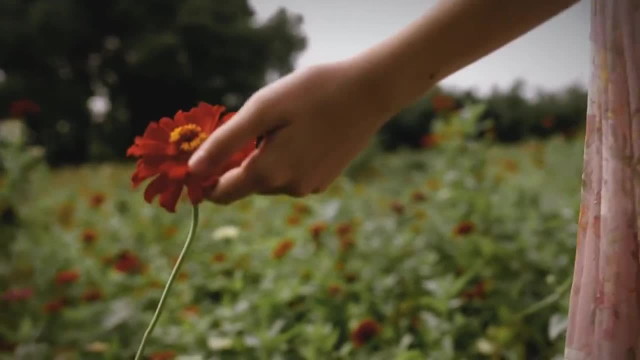 華麗家族太上湖房產廣告片