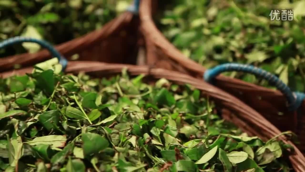 茶農(nóng)紀錄片 《陳冬林 巖茶篇》