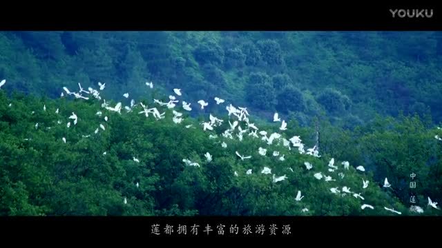 麗水旅游宣傳片《中國蓮都-麗水》