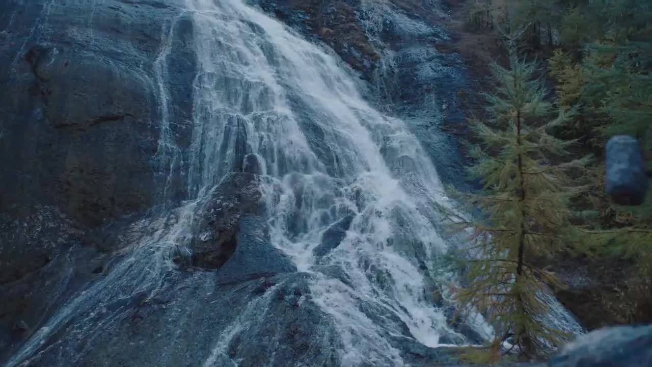 貴人鳥廣告《不屑風(fēng)雪》