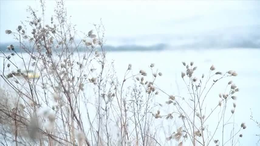 保時捷冰雪試駕會極地體驗